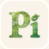 Pi app icon